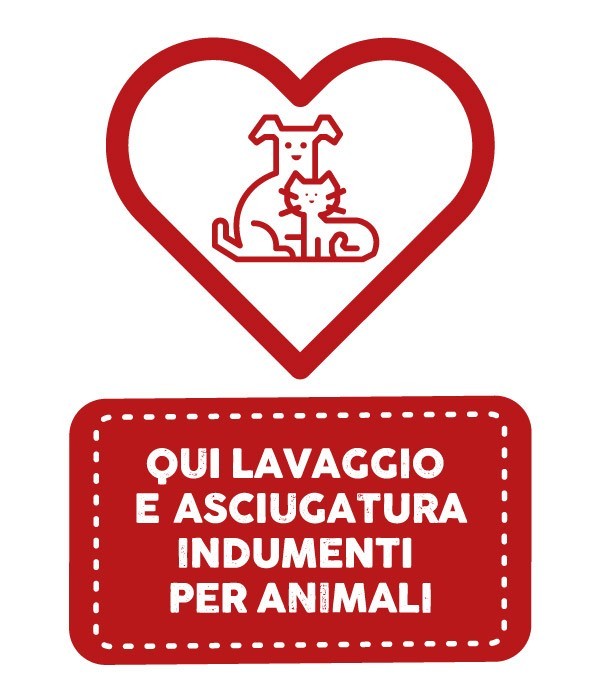 lavanderina_7
